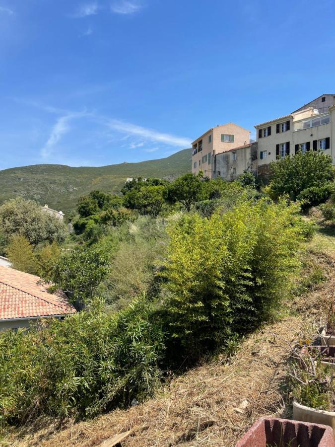 Casa Julie Bed and Breakfast Patrimonio Buitenkant foto